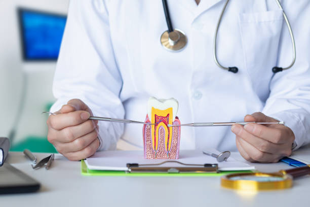 Best Emergency Dental Care for Broken or Chipped Teeth in Galena, IL